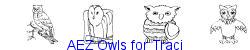 AEZ Owls for Traci   50K (2007-02-04)