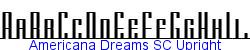 Americana Dreams SC Upright   89K (2002-12-27)