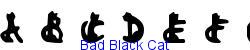 Bad Black Cat    8K (2002-12-27)