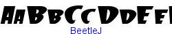 BeetleJ   16K (2002-12-27)
