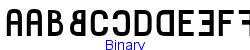 Binary    8K (2002-12-27)
