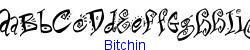 Bitchin   72K (2002-12-27)
