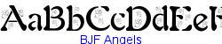 BJF Angels   25K (2003-01-22)
