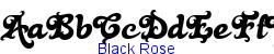 Black Rose   39K (2005-06-21)