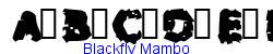 Blackfly Mambo   14K (2002-12-27)