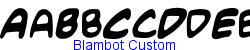 Blambot Custom   21K (2003-01-22)