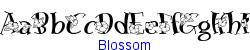 Blossom  164K (2003-01-22)