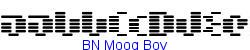 BN Moog Boy    7K (2003-04-18)