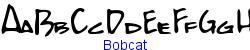 Bobcat   17K (2002-12-27)