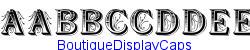 BoutiqueDisplayCaps   67K (2002-12-27)