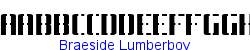 Braeside Lumberboy   10K (2002-12-27)