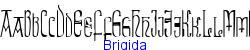Brigida   14K (2002-12-27)