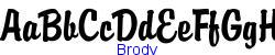 Brody   37K (2002-12-27)