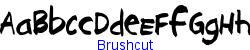 Brushcut   26K (2002-12-27)