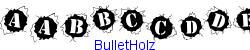 BulletHolz  106K (2002-12-27)