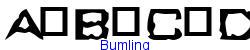 Bumling   34K (2002-12-27)