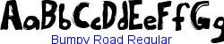 Bumpy Road Regular   26K (2002-12-27)