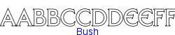 Bush   16K (2002-12-27)