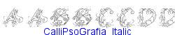 CalliPsoGrafia  Italic  251K (2003-01-22)