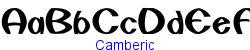 Camberic   17K (2002-12-27)