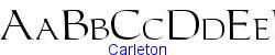 Carleton   28K (2002-12-27)