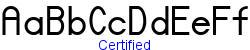 Certified   25K (2002-12-27)