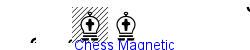 Chess Magnetic   23K (2007-03-16)