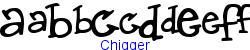 Chigger   17K (2002-12-27)