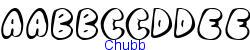 Chubb   13K (2003-01-22)