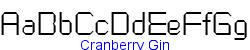 Cranberry Gin   16K (2002-12-27)