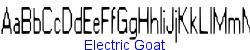 Electric Goat   14K (2002-12-27)
