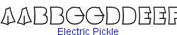 Electric Pickle    8K (2002-12-27)