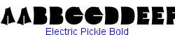 Electric Pickle Bold    8K (2002-12-27)