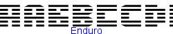 Enduro    4K (2002-12-27)