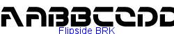 Flipside BRK   10K (2003-06-15)