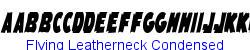 Flying Leatherneck Condensed - Condensed (75%) width   79K (2003-01-22)