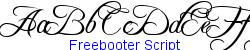 Freebooter Script   67K (2005-09-25)