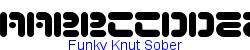 Funky Knut Sober   14K (2002-12-27)