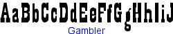 Gambler   25K (2003-03-02)