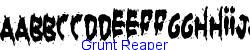 Grunt Reaper   21K (2005-10-20)