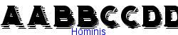 Hominis   26K (2002-12-27)
