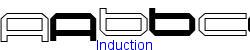 Induction    8K (2002-12-27)
