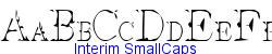 Interim SmallCaps   34K (2002-12-27)