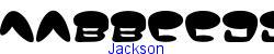 Jackson    6K (2002-12-27)