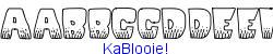 KaBlooie!   28K (2003-01-22)