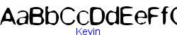 Kevin   10K (2002-12-27)