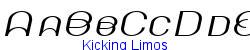 Kicking Limos   12K (2002-12-27)