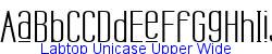 Labtop Unicase Upper Wide  570K (2005-02-06)
