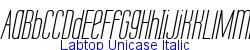 Labtop Unicase Italic  570K (2004-06-19)
