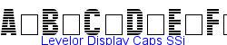 Levelor Display Caps SSi   11K (2002-12-27)